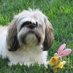 Meet your Posher, Terry